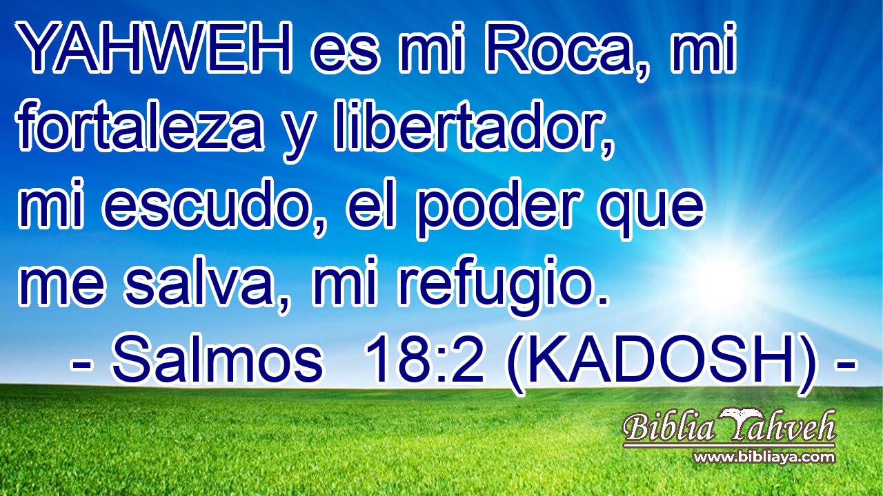  YAHWEH es mi Roca, mi fortaleza y libertador, mi escudo, el poder que me salva, mi refugio. 