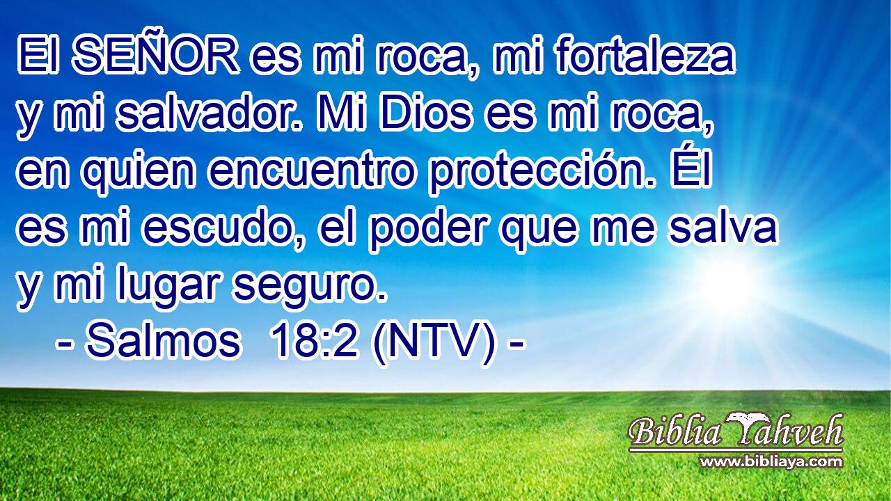 El SEÑOR es mi roca, mi fortaleza y mi salvador. Mi Dios es mi roca, en quien encuentro protección. Él es mi escudo, el poder que me salva y mi lugar seguro.