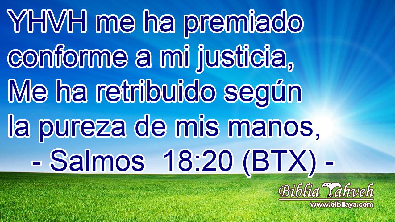 YHVH me ha premiado conforme a mi justicia, Me ha retribuido según la pureza de mis manos,