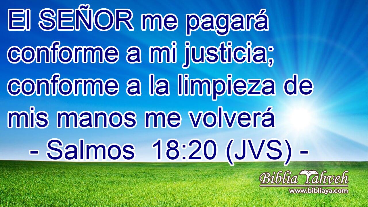 El SEÑOR me pagará conforme a mi justicia; conforme a la limpieza de mis manos me volverá
