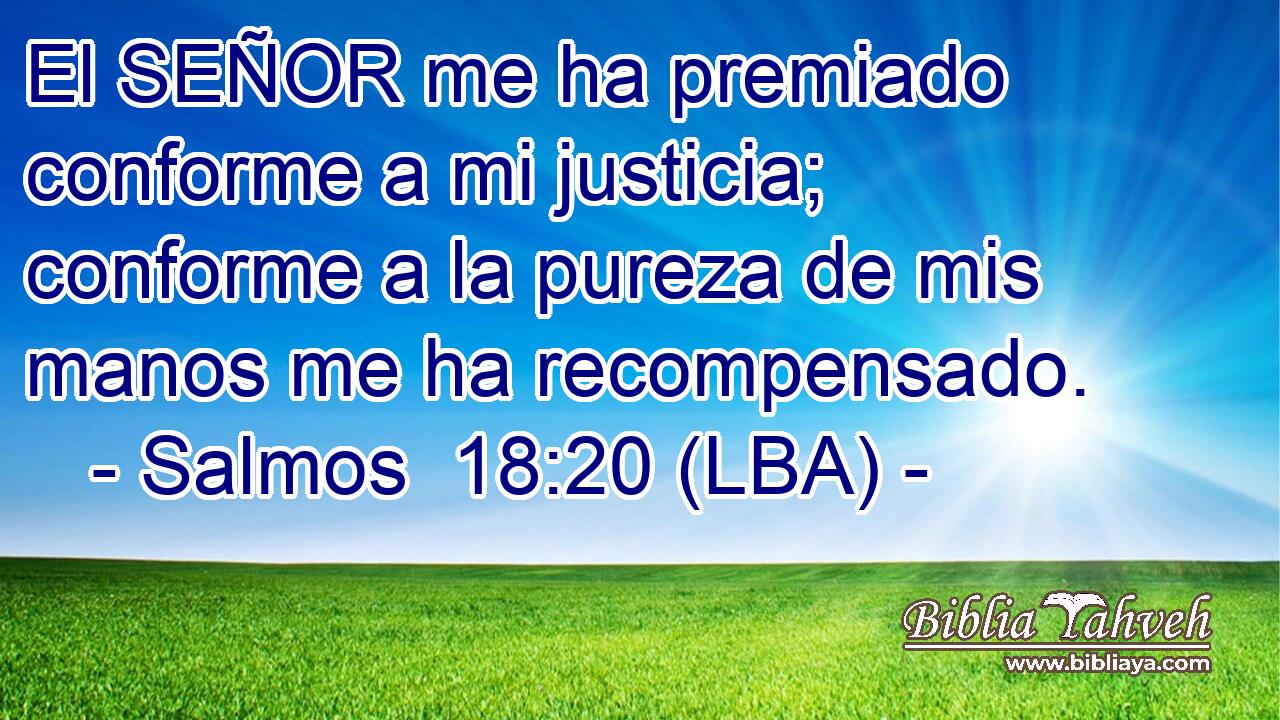 El SEÑOR me ha premiado conforme a mi justicia; conforme a la pureza de mis manos me ha recompensado.