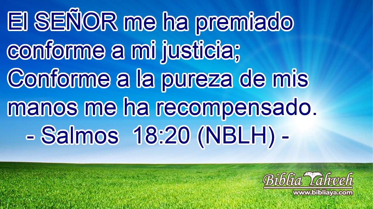  El SEÑOR me ha premiado conforme a mi justicia; Conforme a la pureza de mis manos me ha recompensado. 