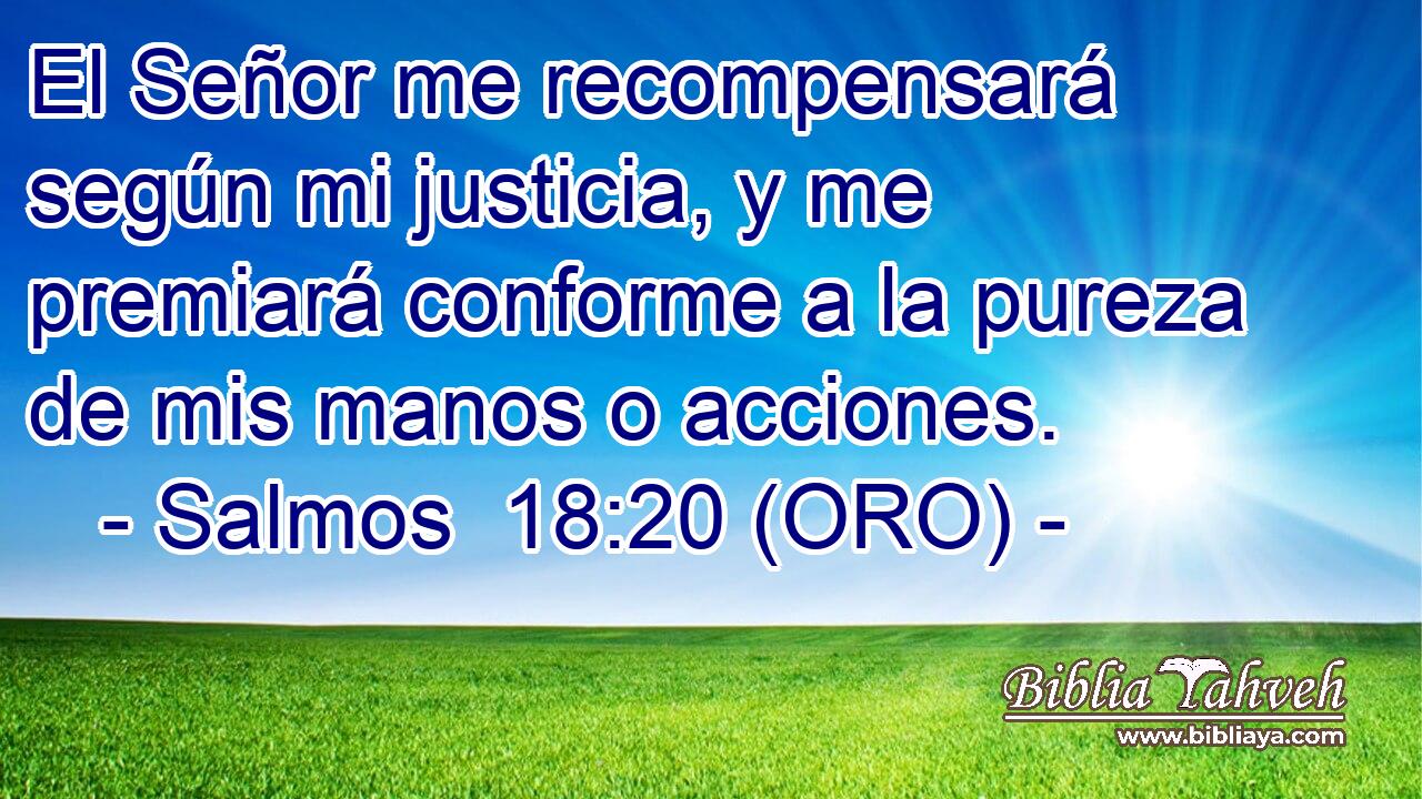  El Señor me recompensará según mi justicia, y me premiará conforme a la pureza de mis manos o acciones. 