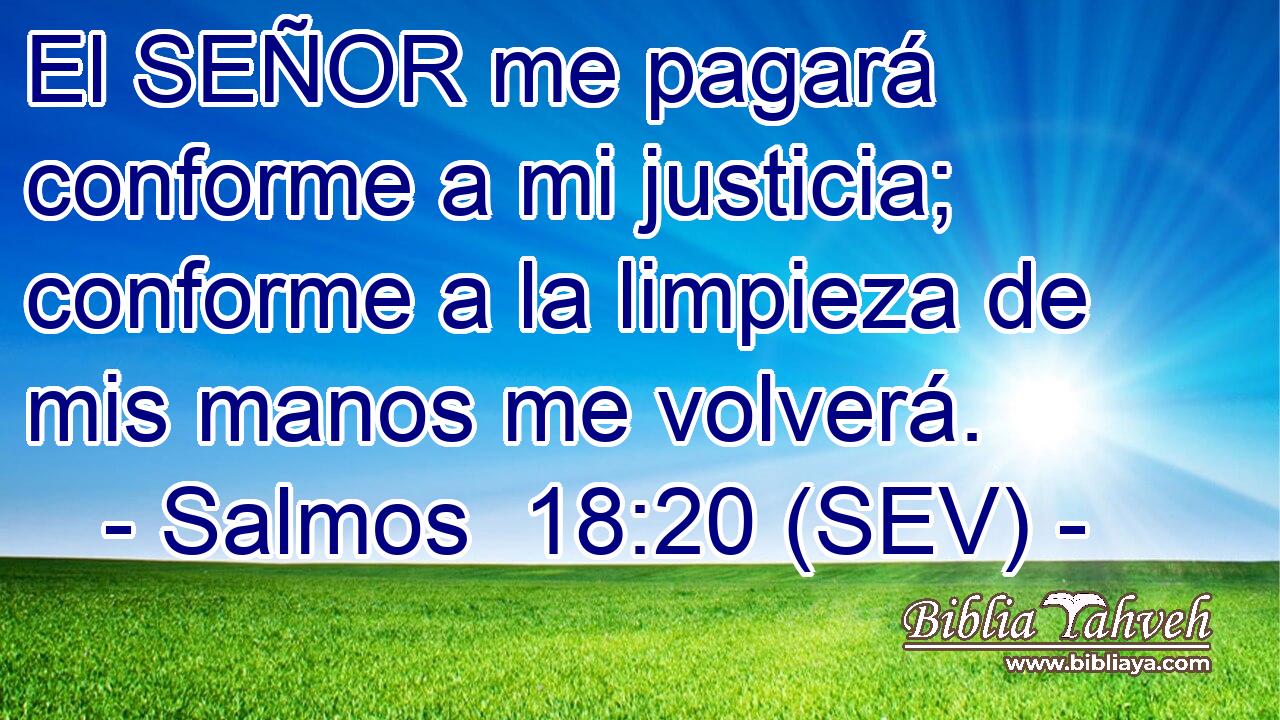 El SEÑOR me pagará conforme a mi justicia; conforme a la limpieza de mis manos me volverá.