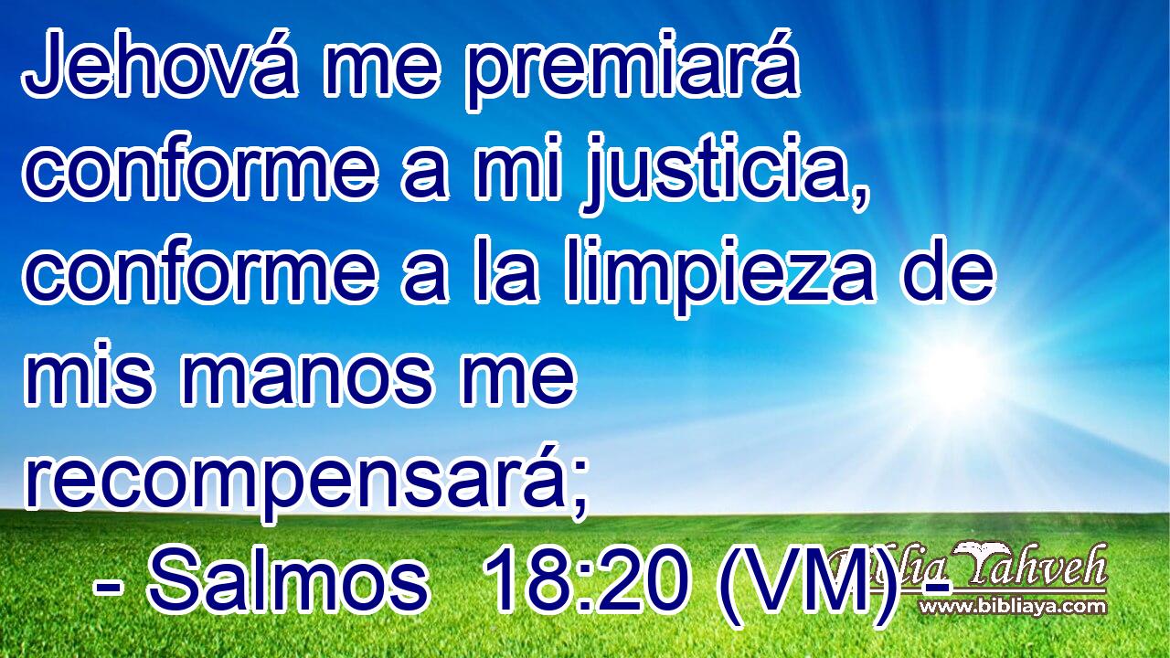  Jehová me premiará conforme a mi justicia, conforme a la limpieza de mis manos me recompensará; 