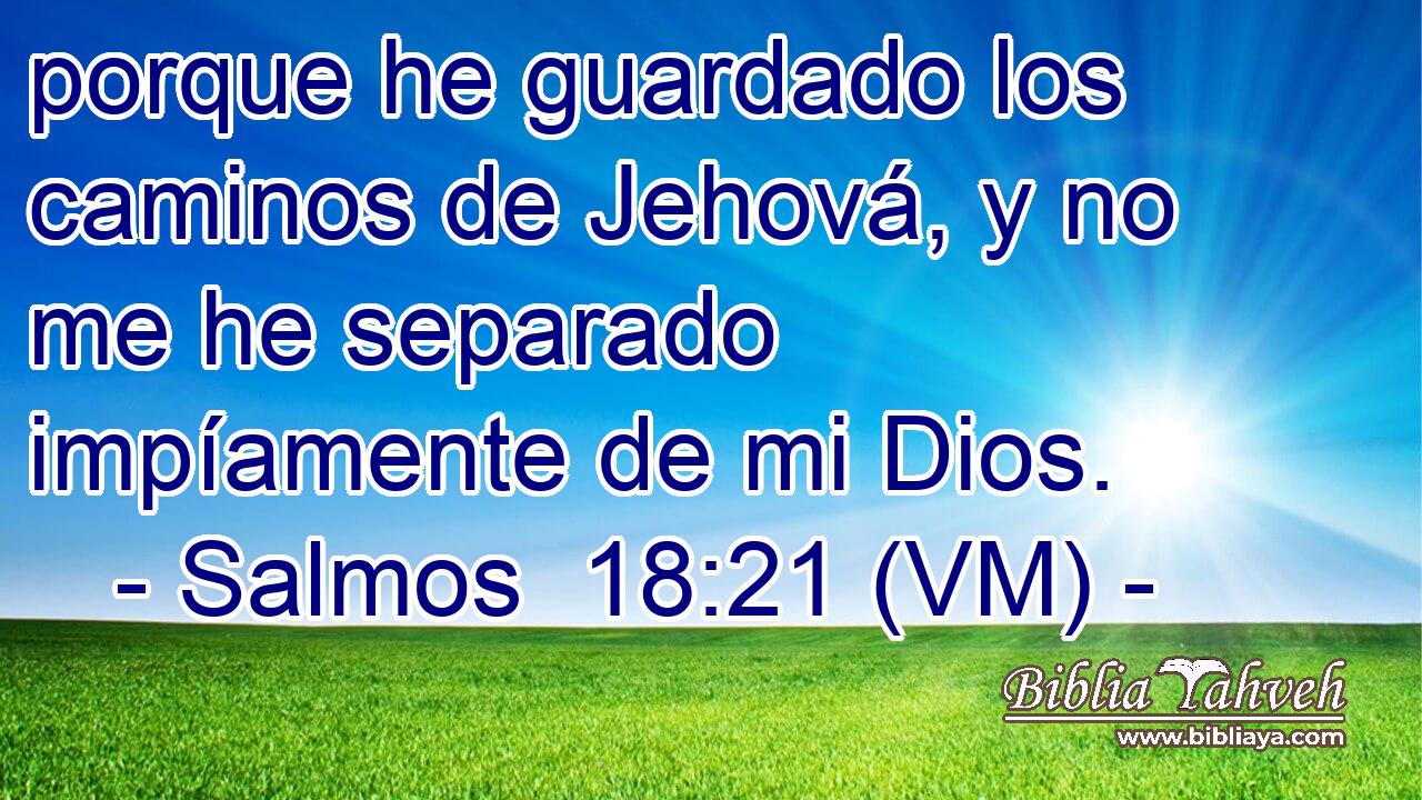  porque he guardado los caminos de Jehová, y no me he separado impíamente de mi Dios. 