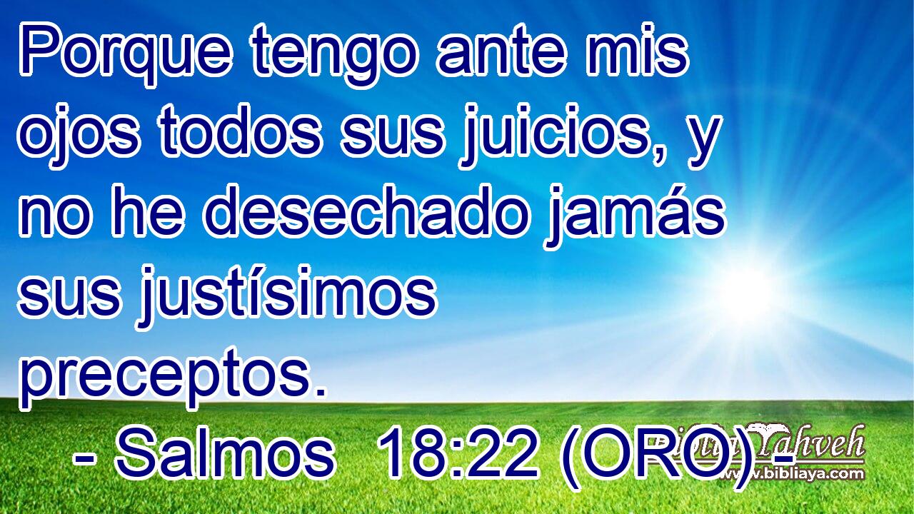  Porque tengo ante mis ojos todos sus juicios, y no he desechado jamás sus justísimos preceptos. 