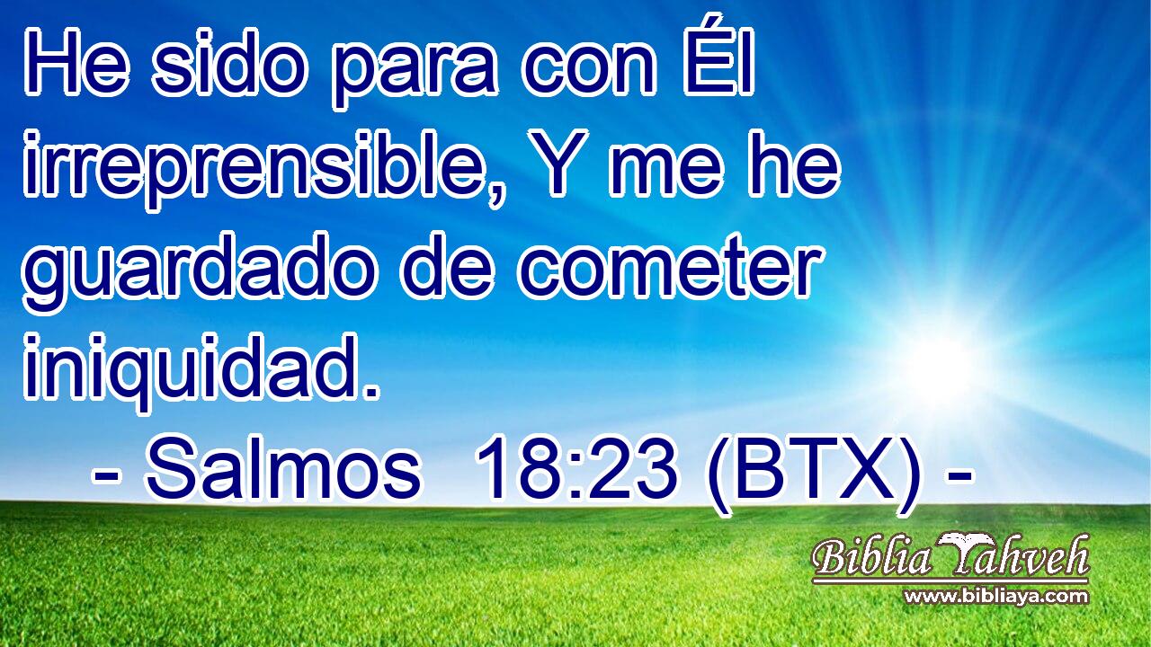 He sido para con Él irreprensible, Y me he guardado de cometer iniquidad.