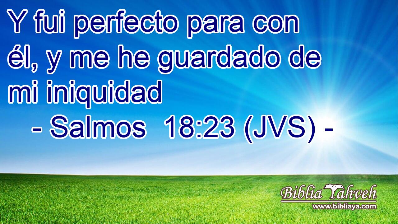Y fui perfecto para con él, y me he guardado de mi iniquidad