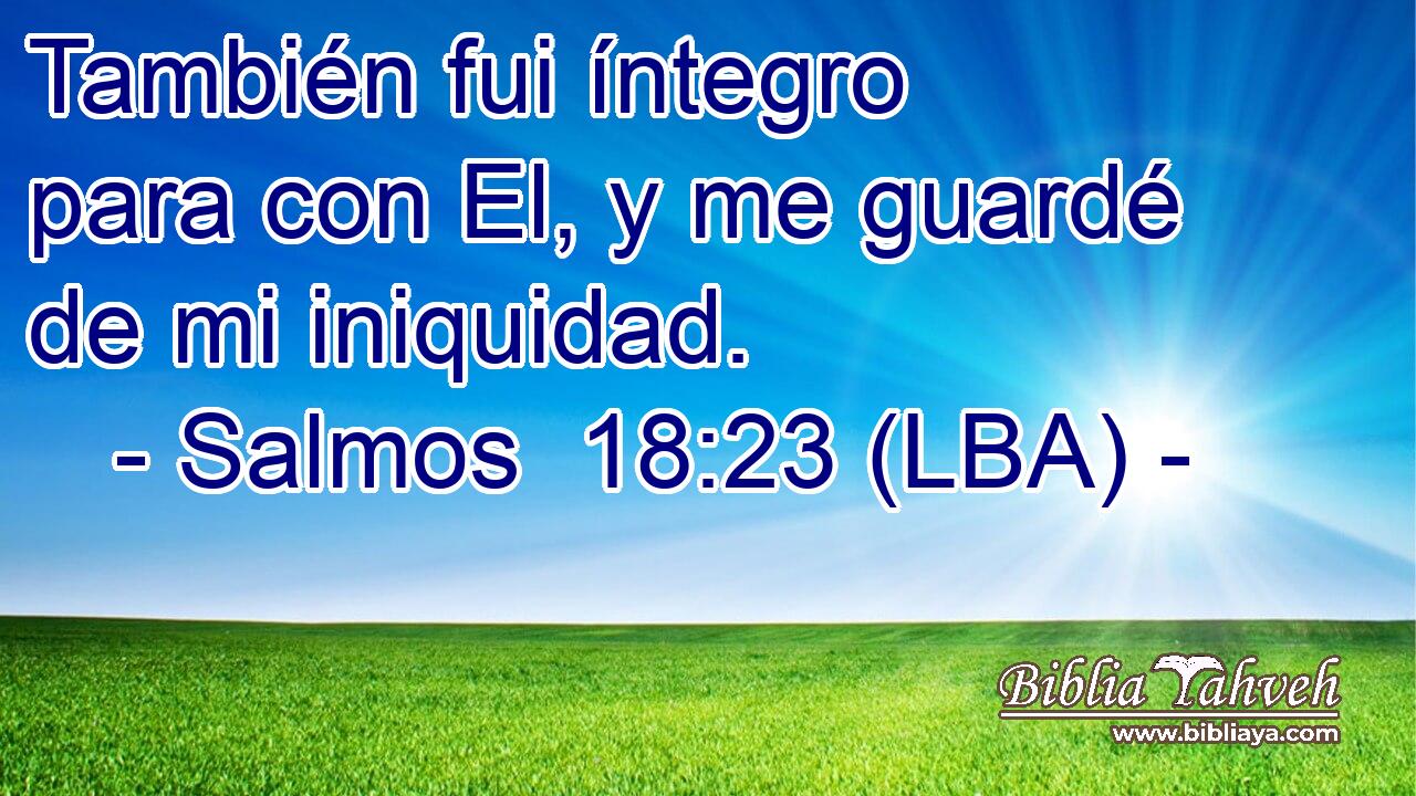 También fui íntegro para con El, y me guardé de mi iniquidad.