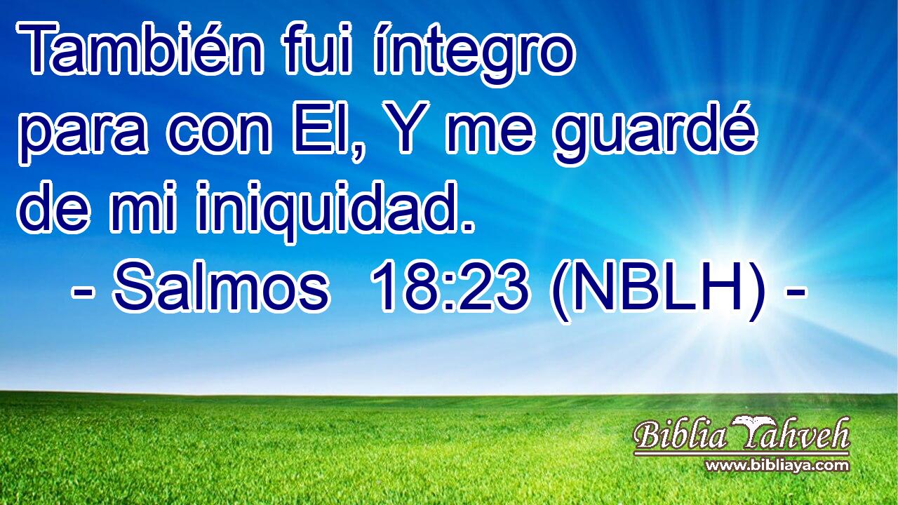  También fui íntegro para con El, Y me guardé de mi iniquidad. 