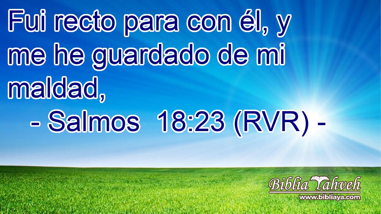 Fui recto para con él, y me he guardado de mi maldad,