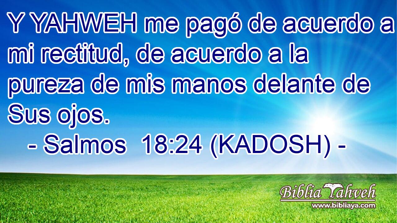  Y YAHWEH me pagó de acuerdo a mi rectitud, de acuerdo a la pureza de mis manos delante de Sus ojos. 