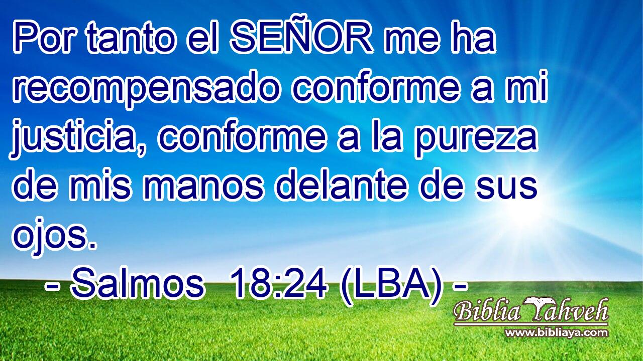 Por tanto el SEÑOR me ha recompensado conforme a mi justicia, conforme a la pureza de mis manos delante de sus ojos.