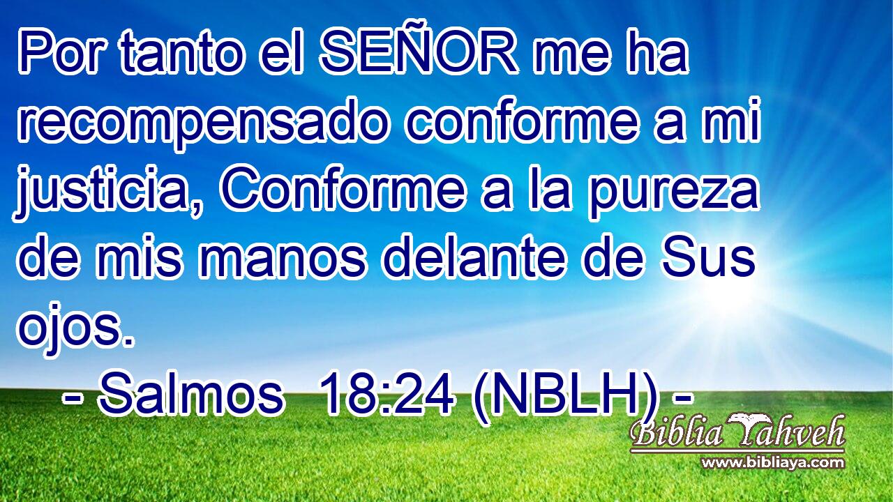  Por tanto el SEÑOR me ha recompensado conforme a mi justicia, Conforme a la pureza de mis manos delante de Sus ojos. 
