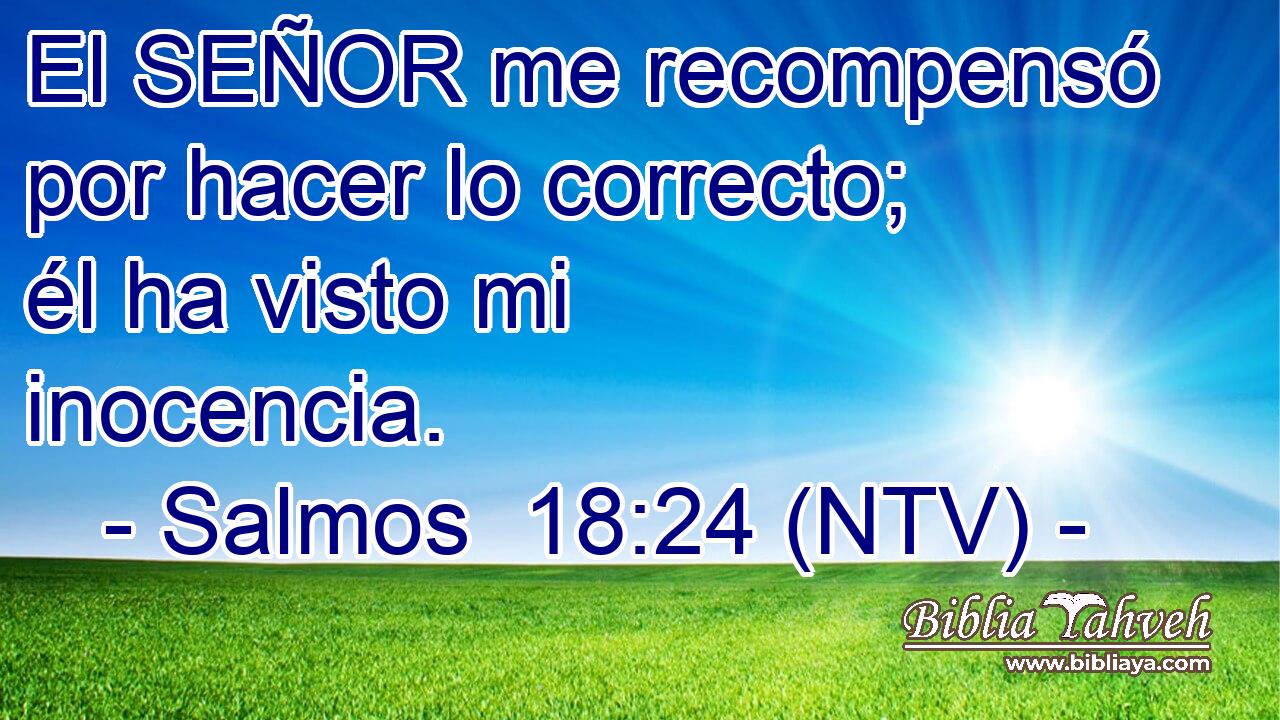 El SEÑOR me recompensó por hacer lo correcto; él ha visto mi inocencia.