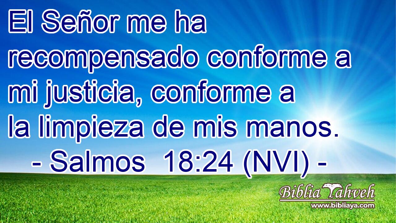  El Señor me ha recompensado conforme a mi justicia, conforme a la limpieza de mis manos. 