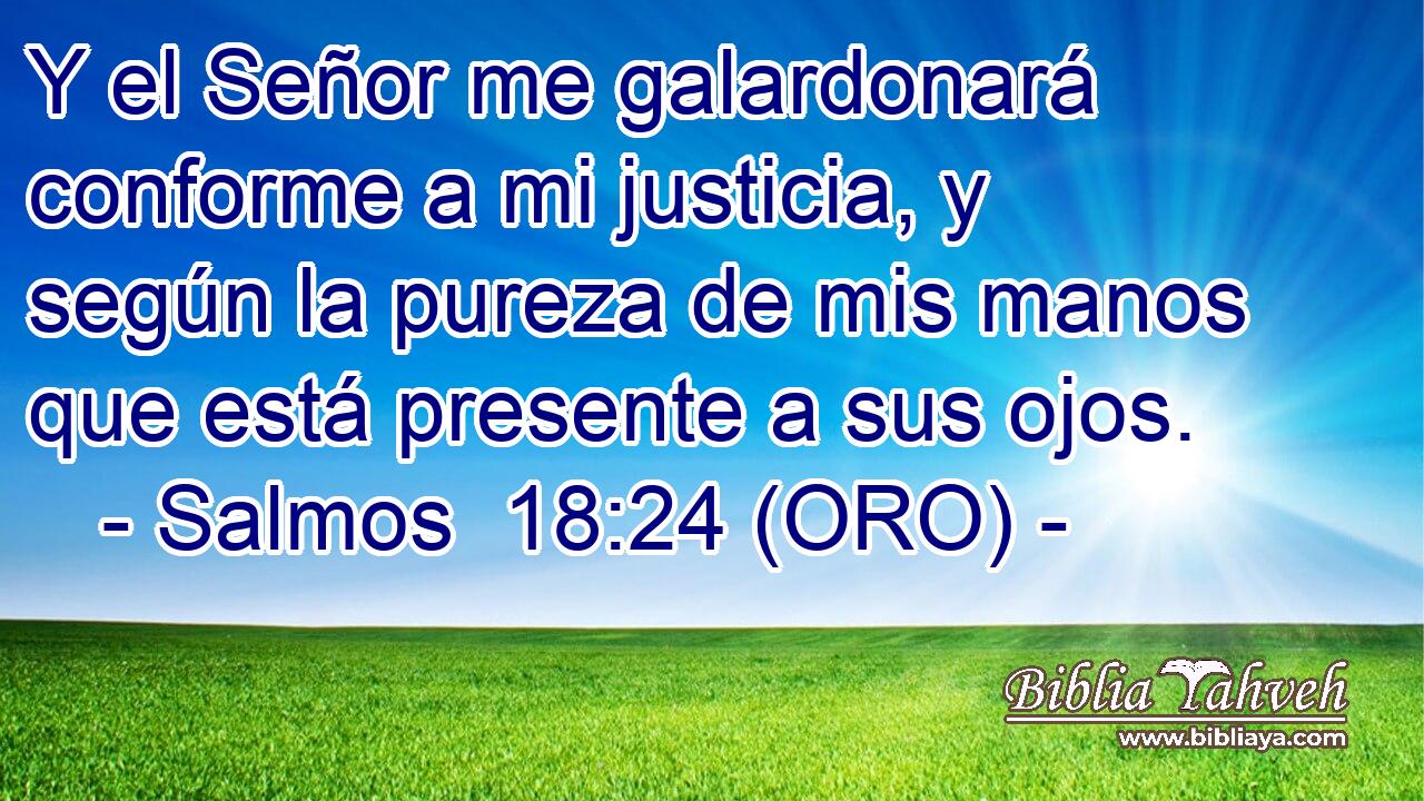  Y el Señor me galardonará conforme a mi justicia, y según la pureza de mis manos que está presente a sus ojos. 
