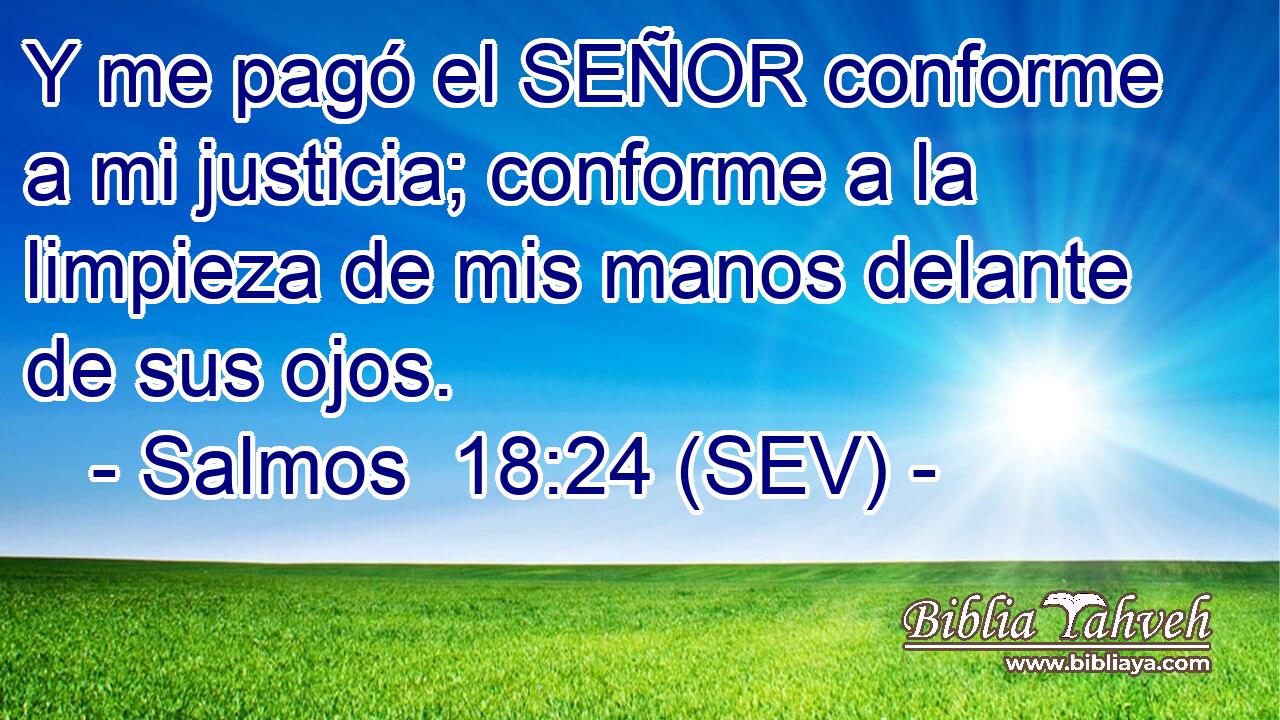 Y me pagó el SEÑOR conforme a mi justicia; conforme a la limpieza de mis manos delante de sus ojos.