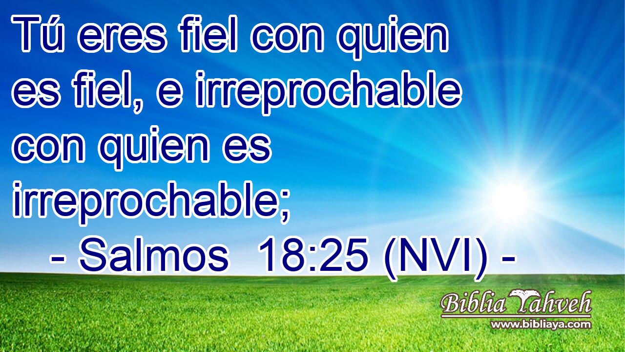  Tú eres fiel con quien es fiel, e irreprochable con quien es irreprochable; 