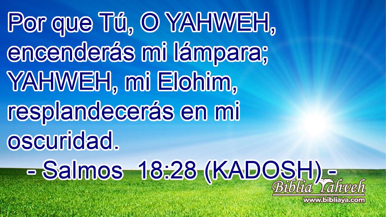  Por que Tú, O YAHWEH, encenderás mi lámpara; YAHWEH, mi Elohim, resplandecerás en mi oscuridad. 