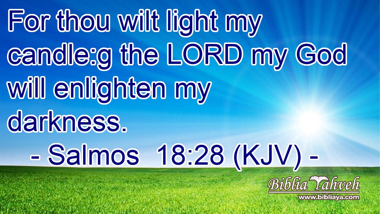 For thou wilt light my candle:g the LORD my God will enlighten my darkness.