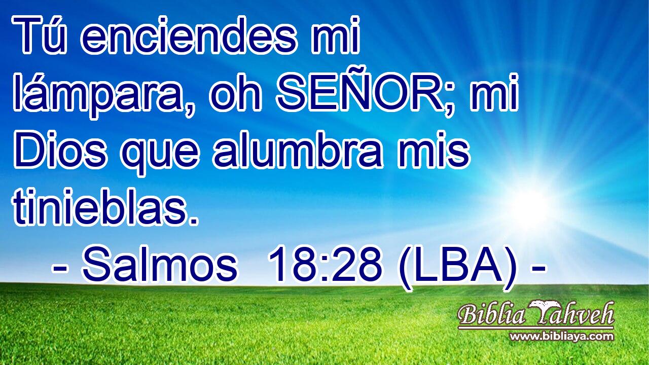 Tú enciendes mi lámpara, oh SEÑOR; mi Dios que alumbra mis tinieblas.