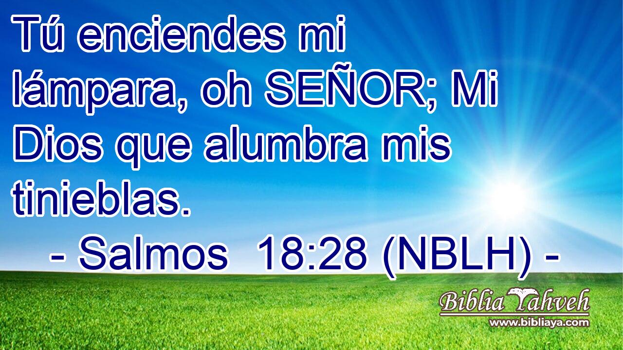  Tú enciendes mi lámpara, oh SEÑOR; Mi Dios que alumbra mis tinieblas. 