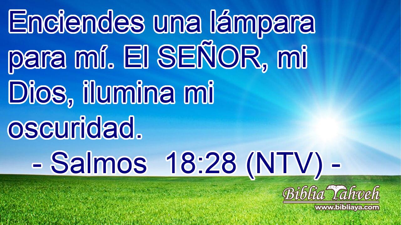 Enciendes una lámpara para mí. El SEÑOR, mi Dios, ilumina mi oscuridad.