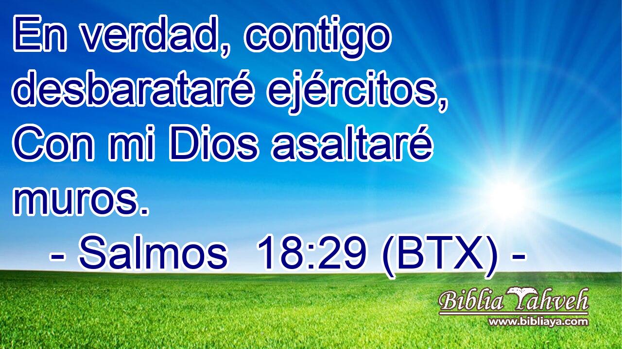 En verdad, contigo desbarataré ejércitos, Con mi Dios asaltaré muros.