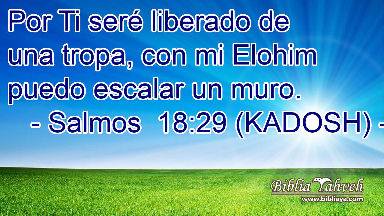  Por Ti seré liberado de una tropa, con mi Elohim puedo escalar un muro. 