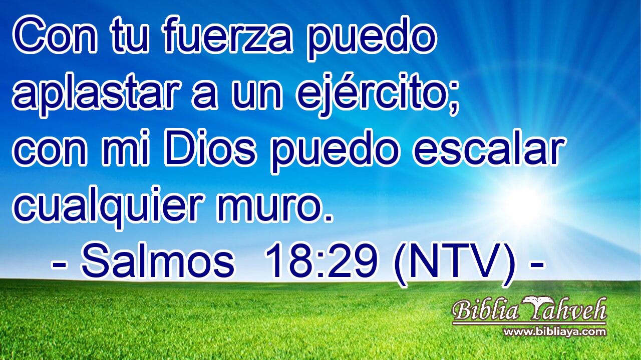 Con tu fuerza puedo aplastar a un ejército; con mi Dios puedo escalar cualquier muro.