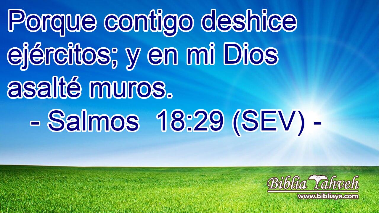 Porque contigo deshice ejércitos; y en mi Dios asalté muros.