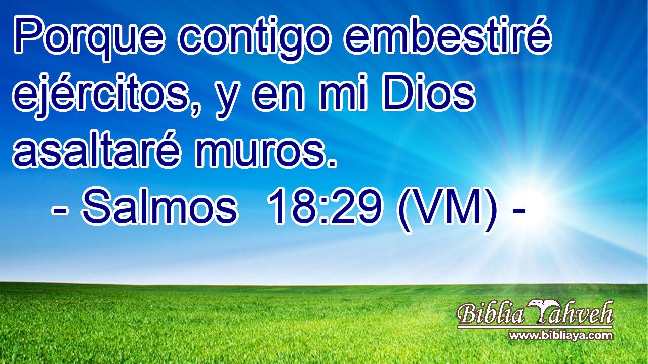  Porque contigo embestiré ejércitos, y en mi Dios asaltaré muros. 