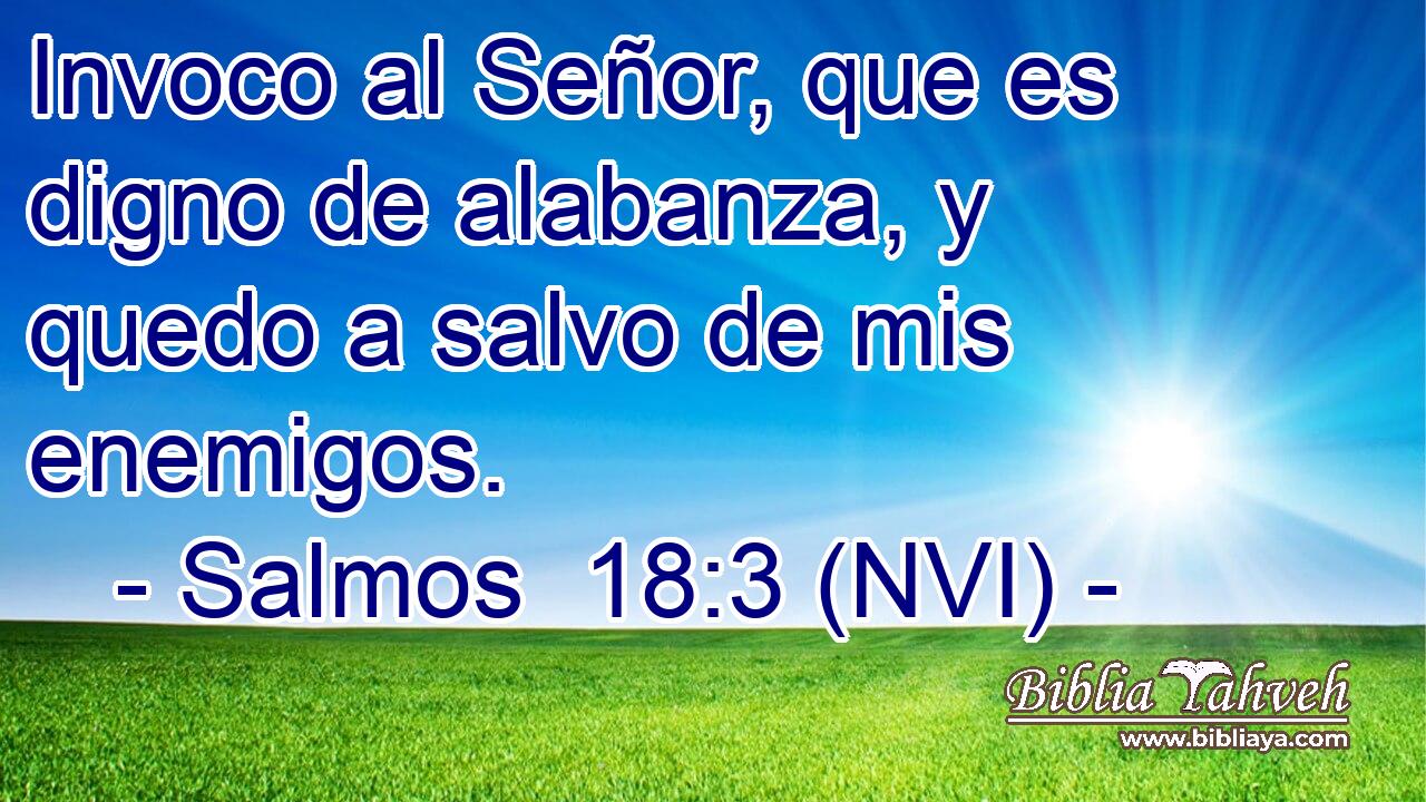  Invoco al Señor, que es digno de alabanza, y quedo a salvo de mis enemigos. 