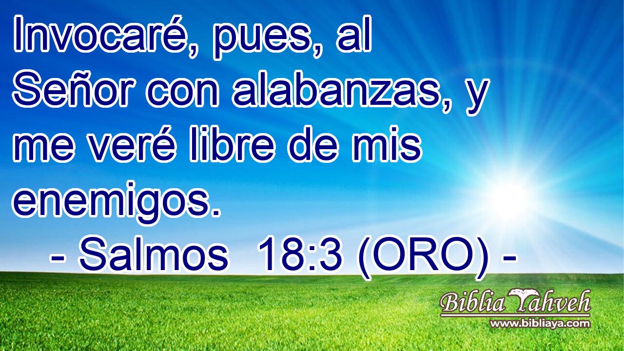  Invocaré, pues, al Señor con alabanzas, y me veré libre de mis enemigos. 