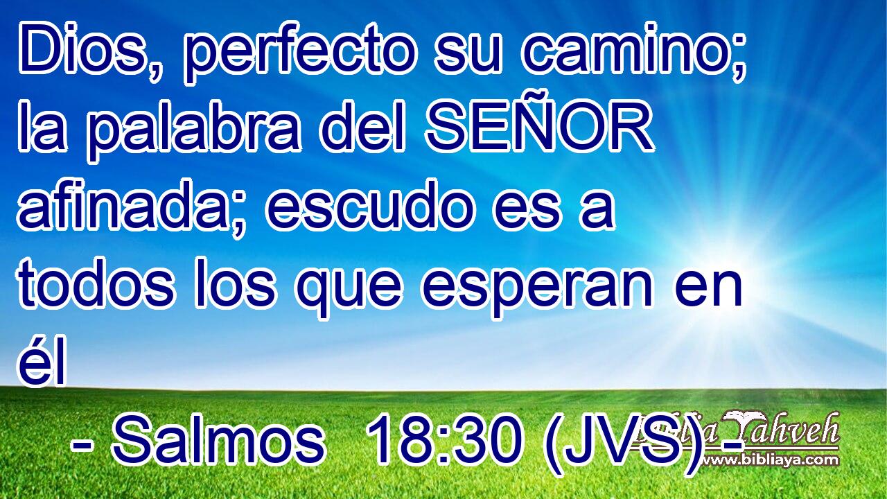 Dios, perfecto su camino; la palabra del SEÑOR afinada; escudo es a todos los que esperan en él