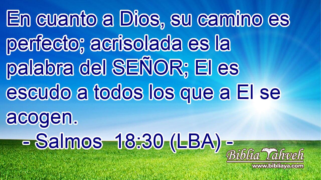 En cuanto a Dios, su camino es perfecto; acrisolada es la palabra del SEÑOR; El es escudo a todos los que a El se acogen.