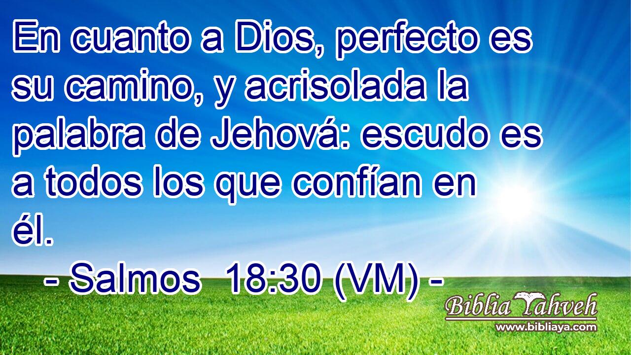  En cuanto a Dios, perfecto es su camino, y acrisolada la palabra de Jehová: escudo es a todos los que confían en él. 