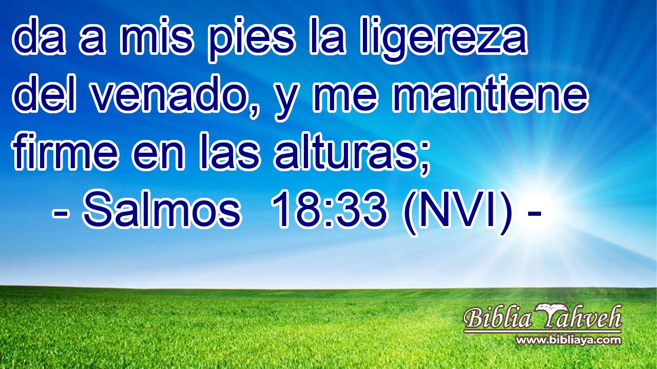  da a mis pies la ligereza del venado, y me mantiene firme en las alturas; 