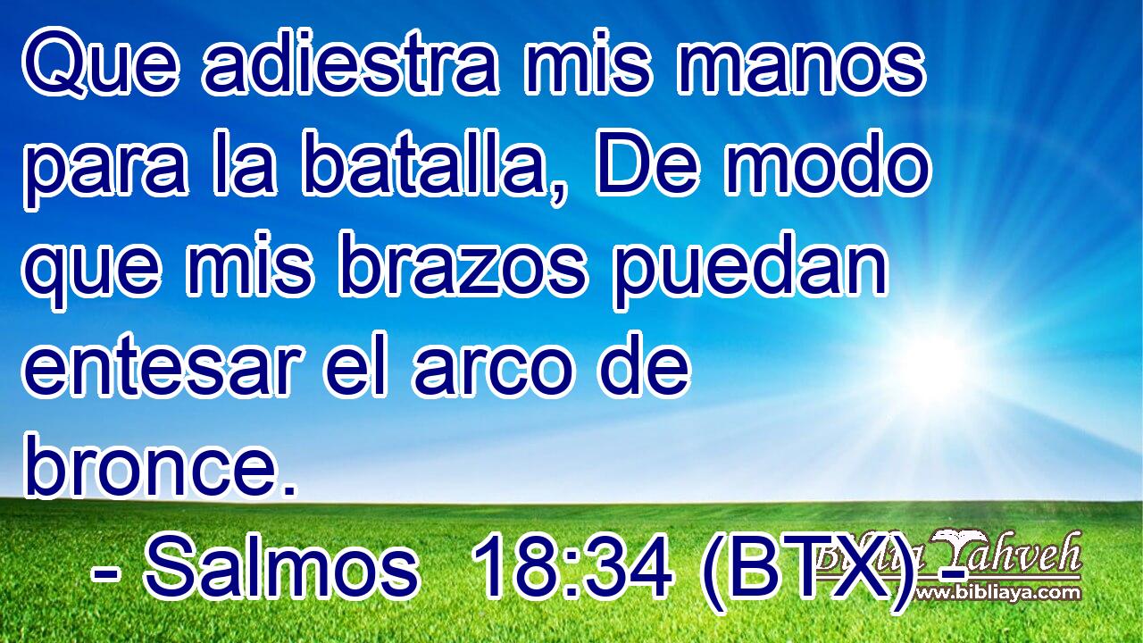 Que adiestra mis manos para la batalla, De modo que mis brazos puedan entesar el arco de bronce.