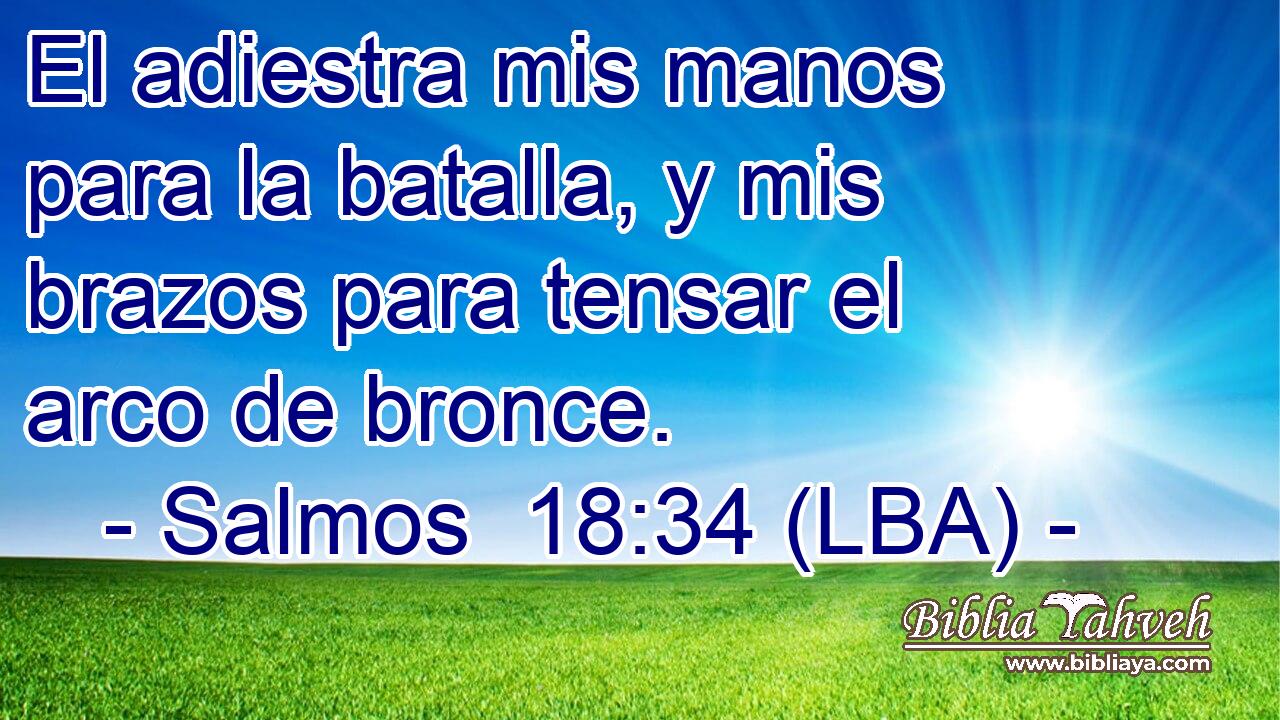 El adiestra mis manos para la batalla, y mis brazos para tensar el arco de bronce.