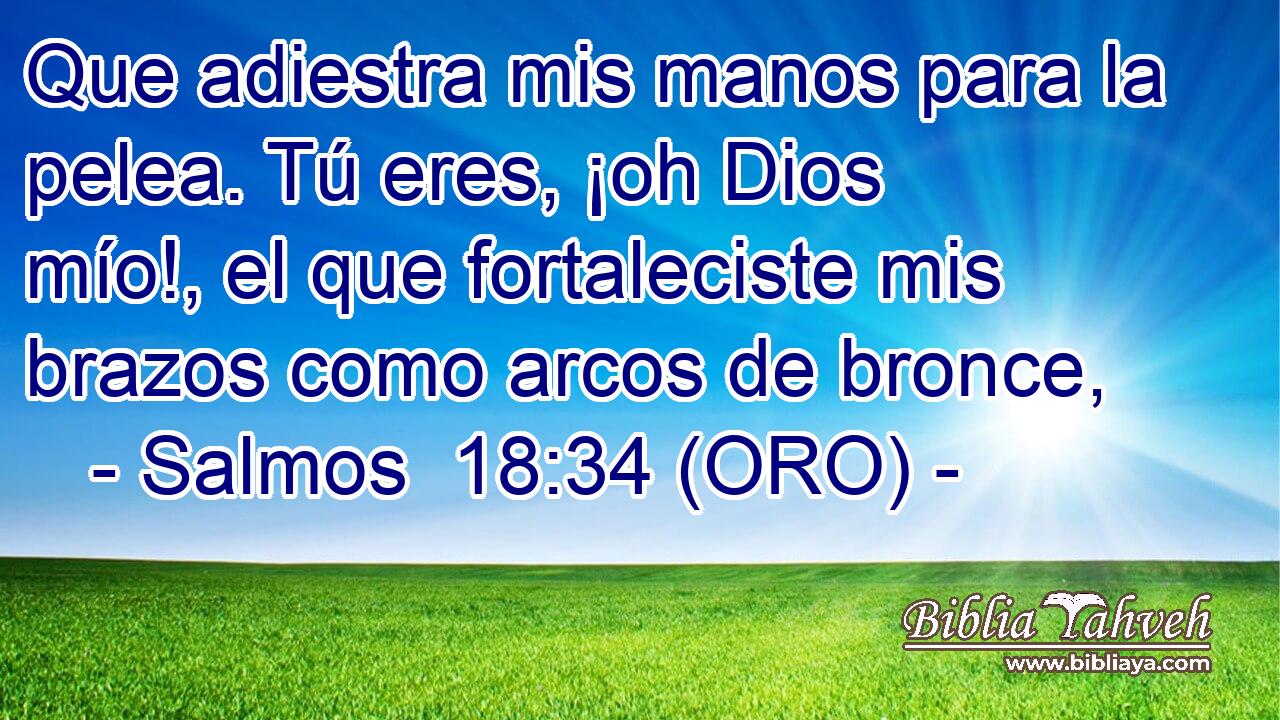 Que adiestra mis manos para la pelea. Tú eres, ¡oh Dios mío!, el que fortaleciste mis brazos como arcos de bronce, 