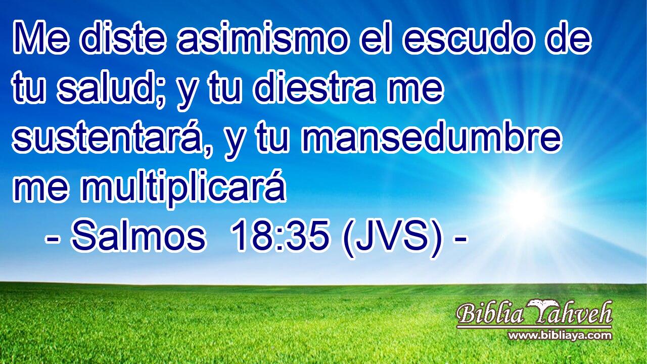 Me diste asimismo el escudo de tu salud; y tu diestra me sustentará, y tu mansedumbre me multiplicará