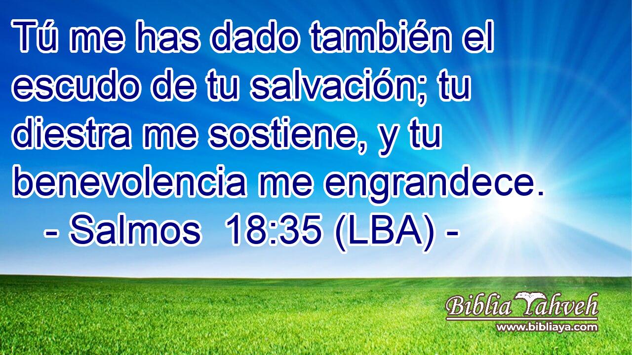 Tú me has dado también el escudo de tu salvación; tu diestra me sostiene, y tu benevolencia me engrandece.