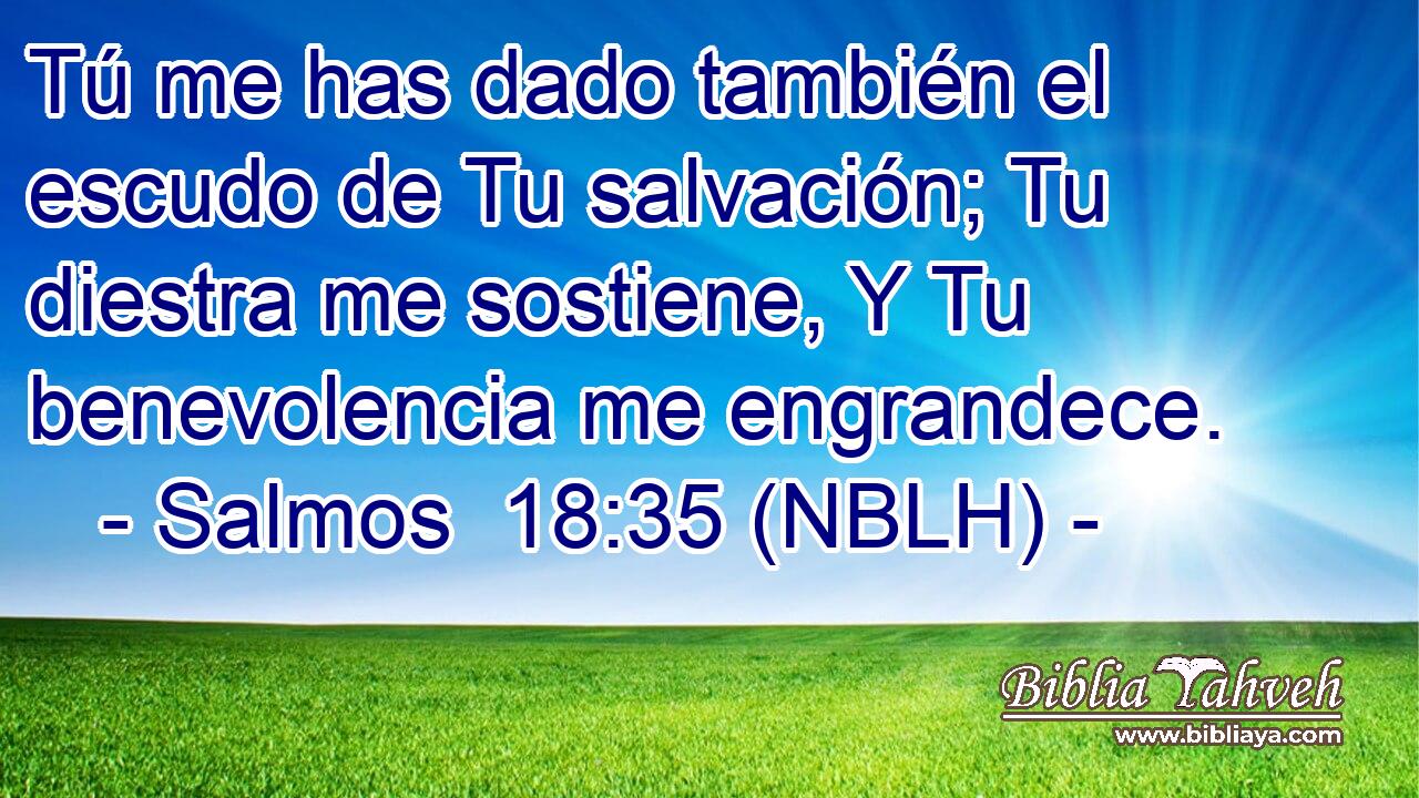  Tú me has dado también el escudo de Tu salvación; Tu diestra me sostiene, Y Tu benevolencia me engrandece. 