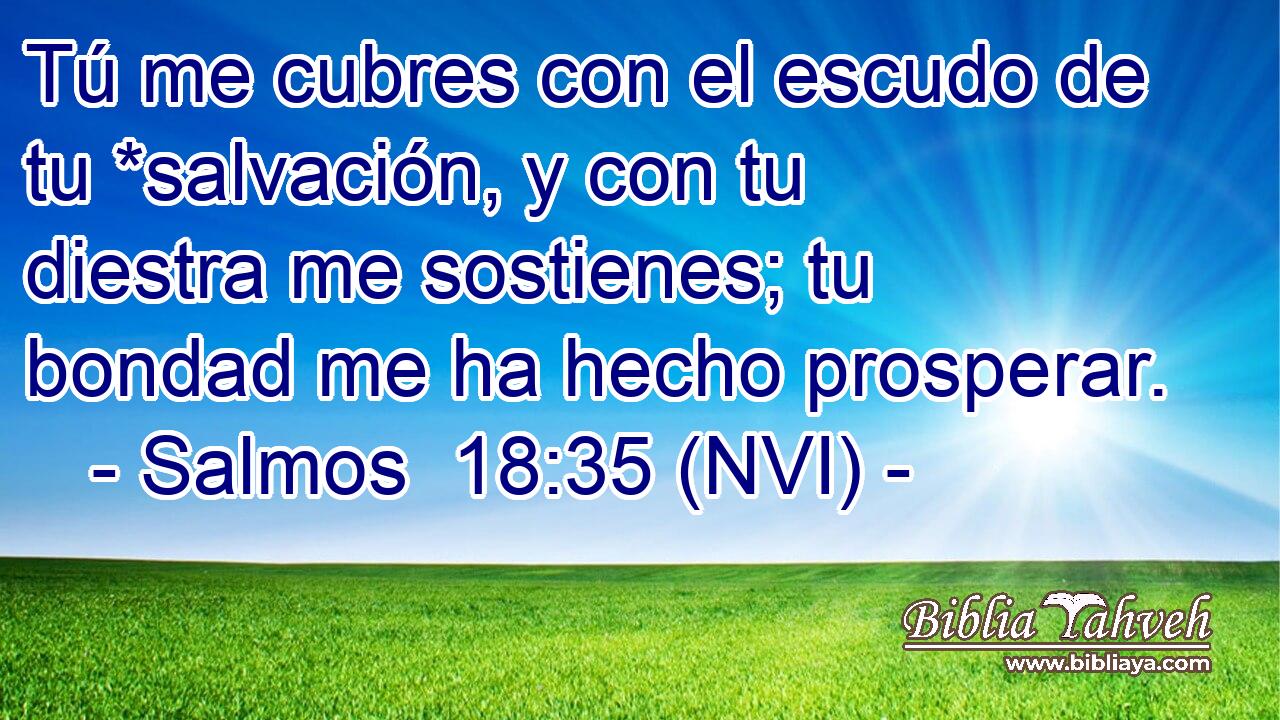  Tú me cubres con el escudo de tu *salvación, y con tu diestra me sostienes; tu bondad me ha hecho prosperar. 
