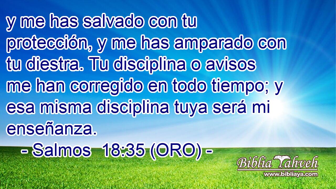  y me has salvado con tu protección, y me has amparado con tu diestra. Tu disciplina o avisos me han corregido en todo tiempo; y esa misma disciplina tuya será mi enseñanza. 