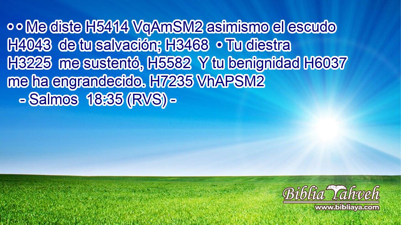 • • Me diste H5414 VqAmSM2 asimismo el escudo H4043  de tu salvación; H3468  • Tu diestra H3225  me sustentó, H5582  Y tu benignidad H6037  me ha engrandecido. H7235 VhAPSM2 