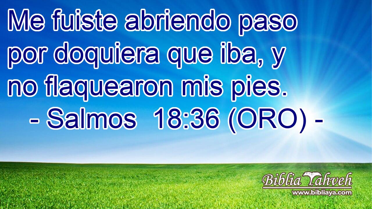  Me fuiste abriendo paso por doquiera que iba, y no flaquearon mis pies. 